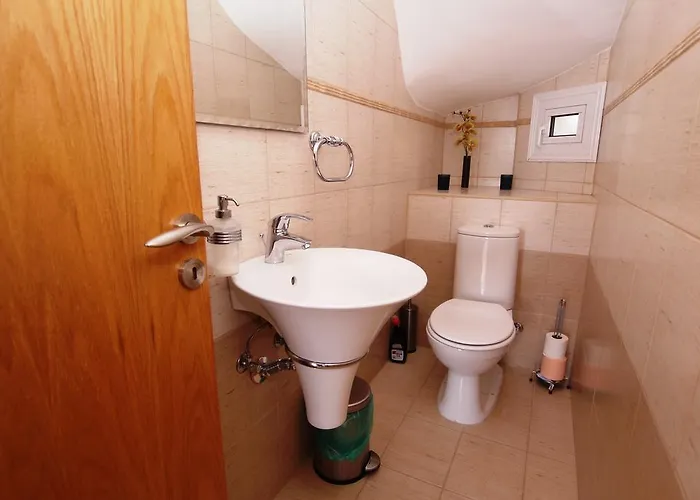 فيلة Maouris بروتاراس